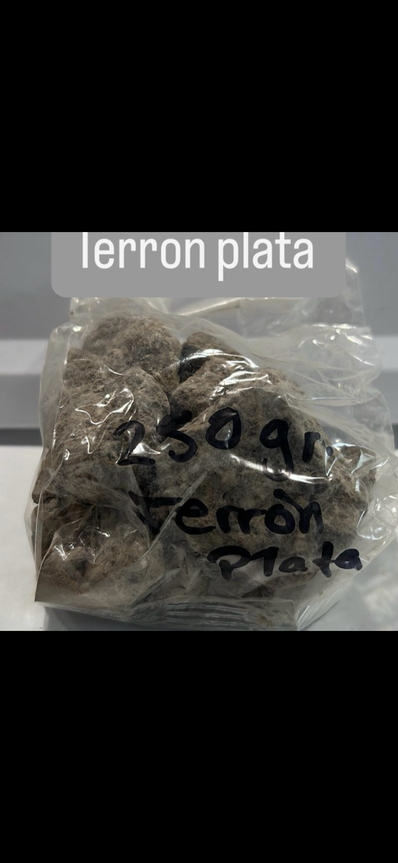 Terron plata