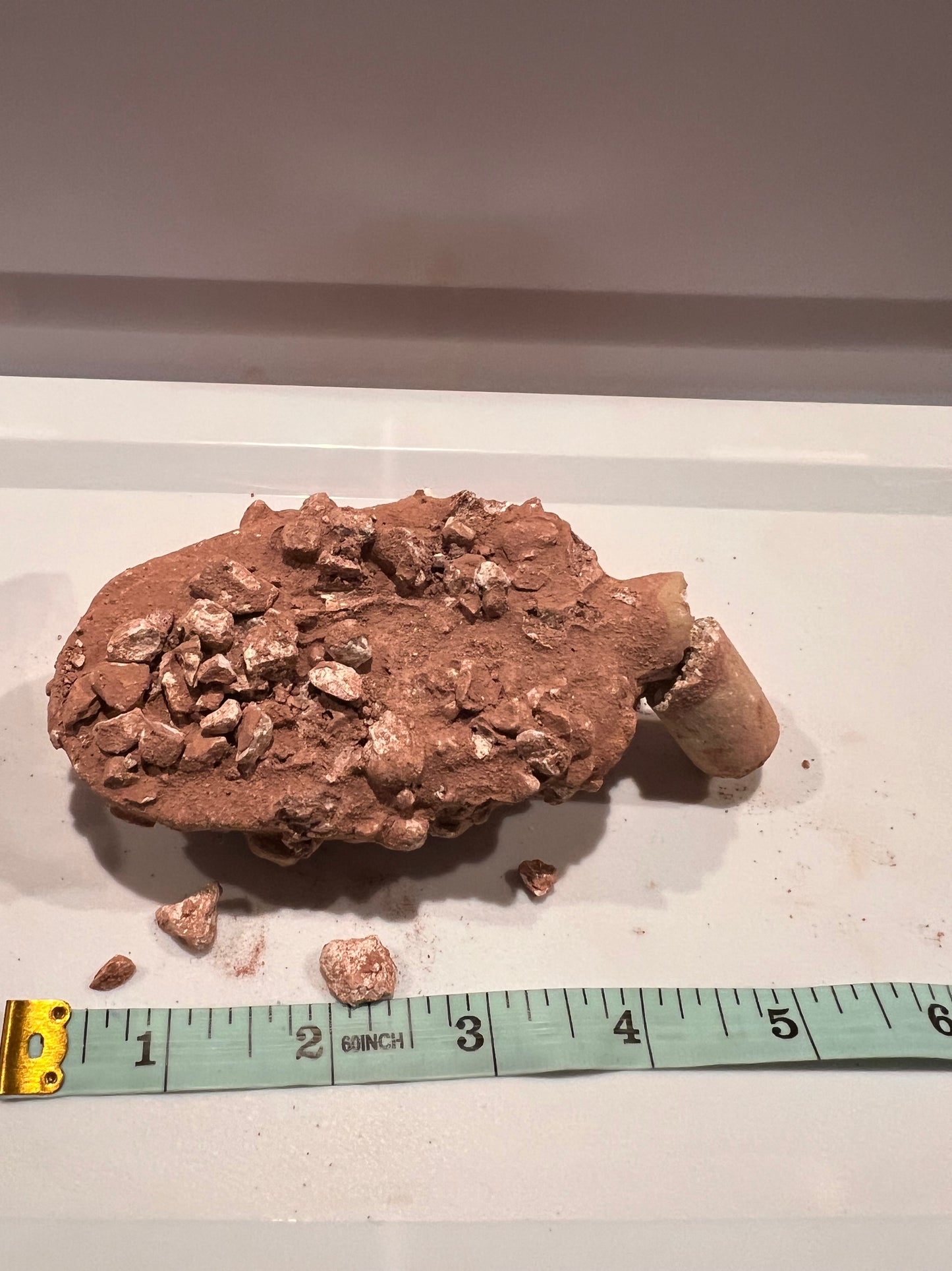 Cacao