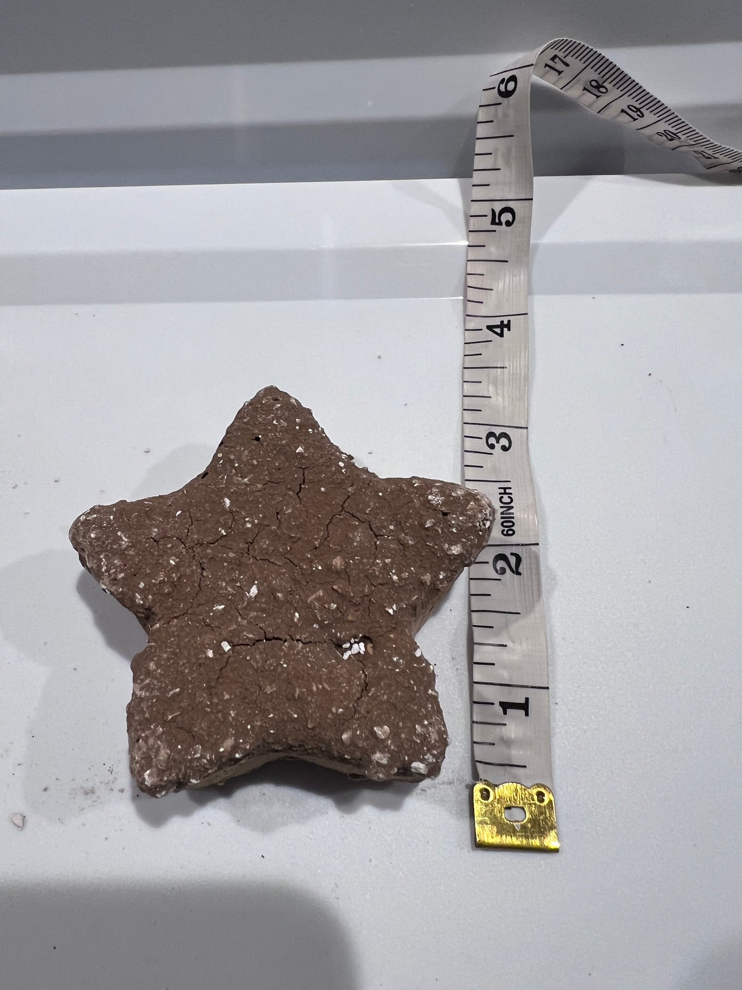Estrellita michoacana