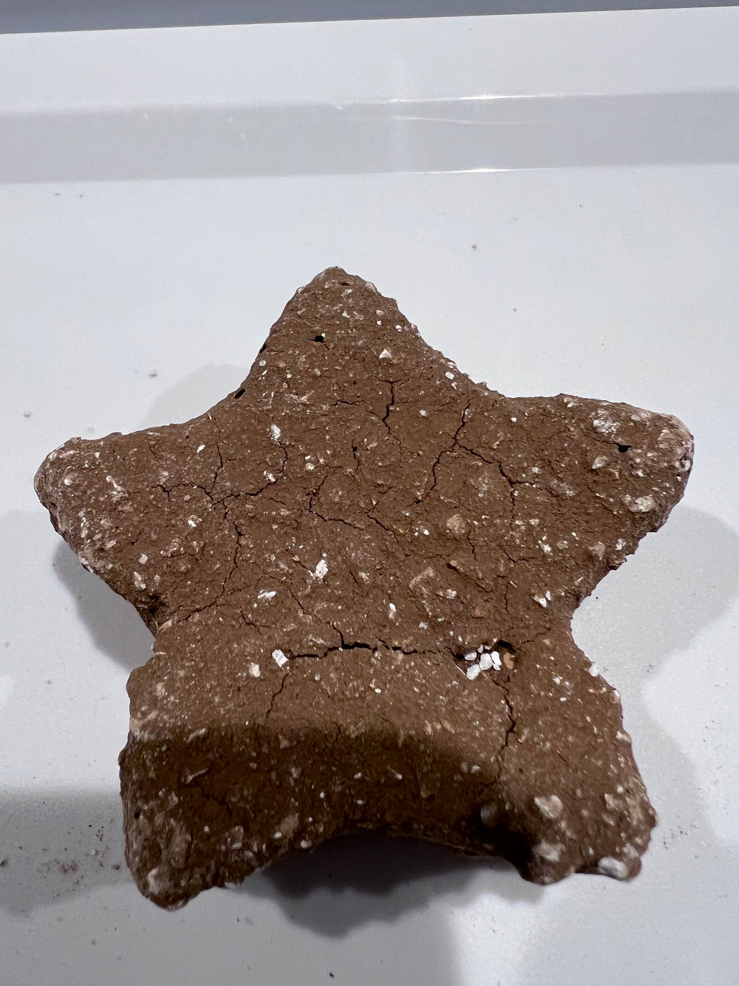 Estrellita michoacana