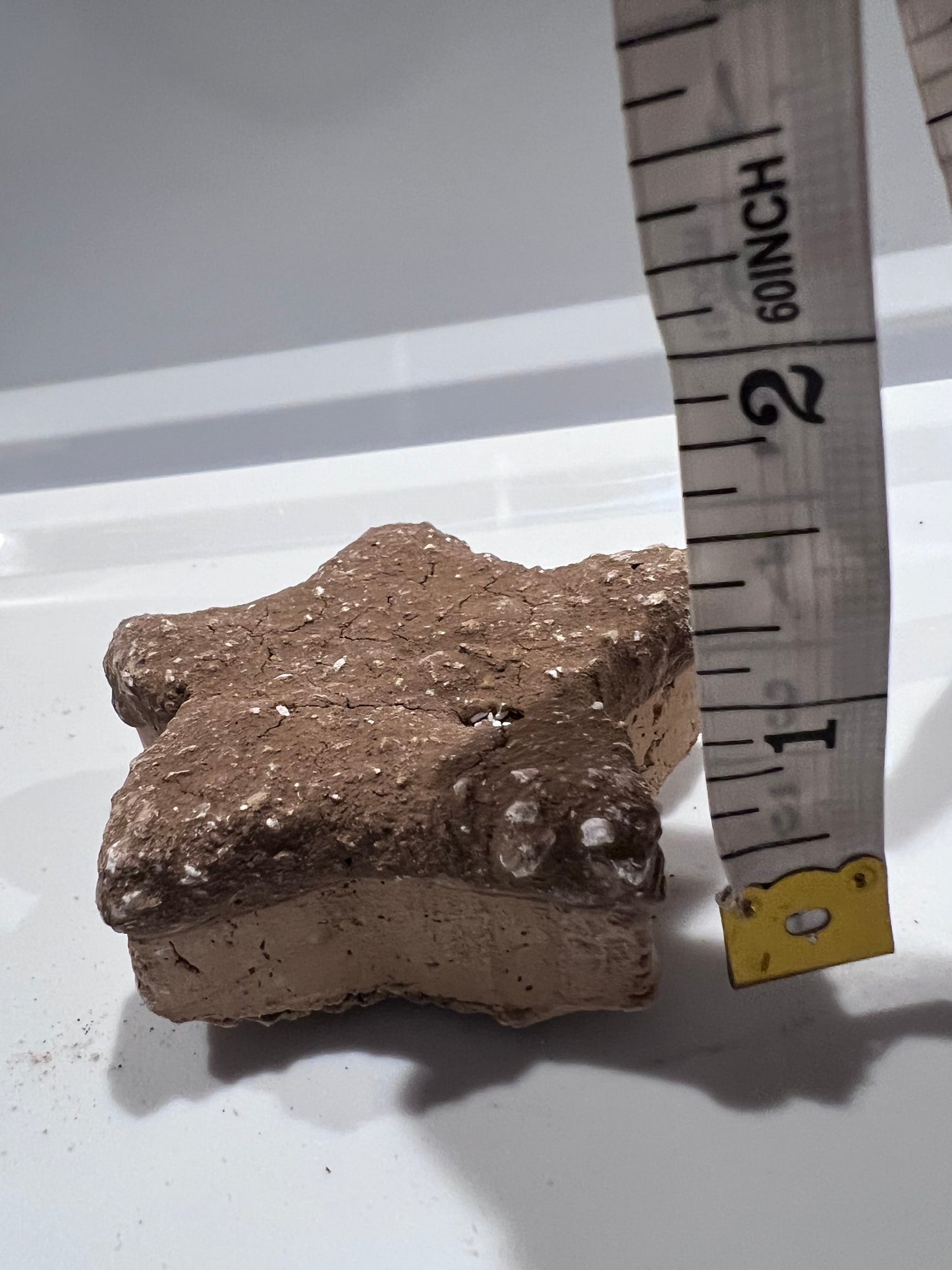Estrellita michoacana