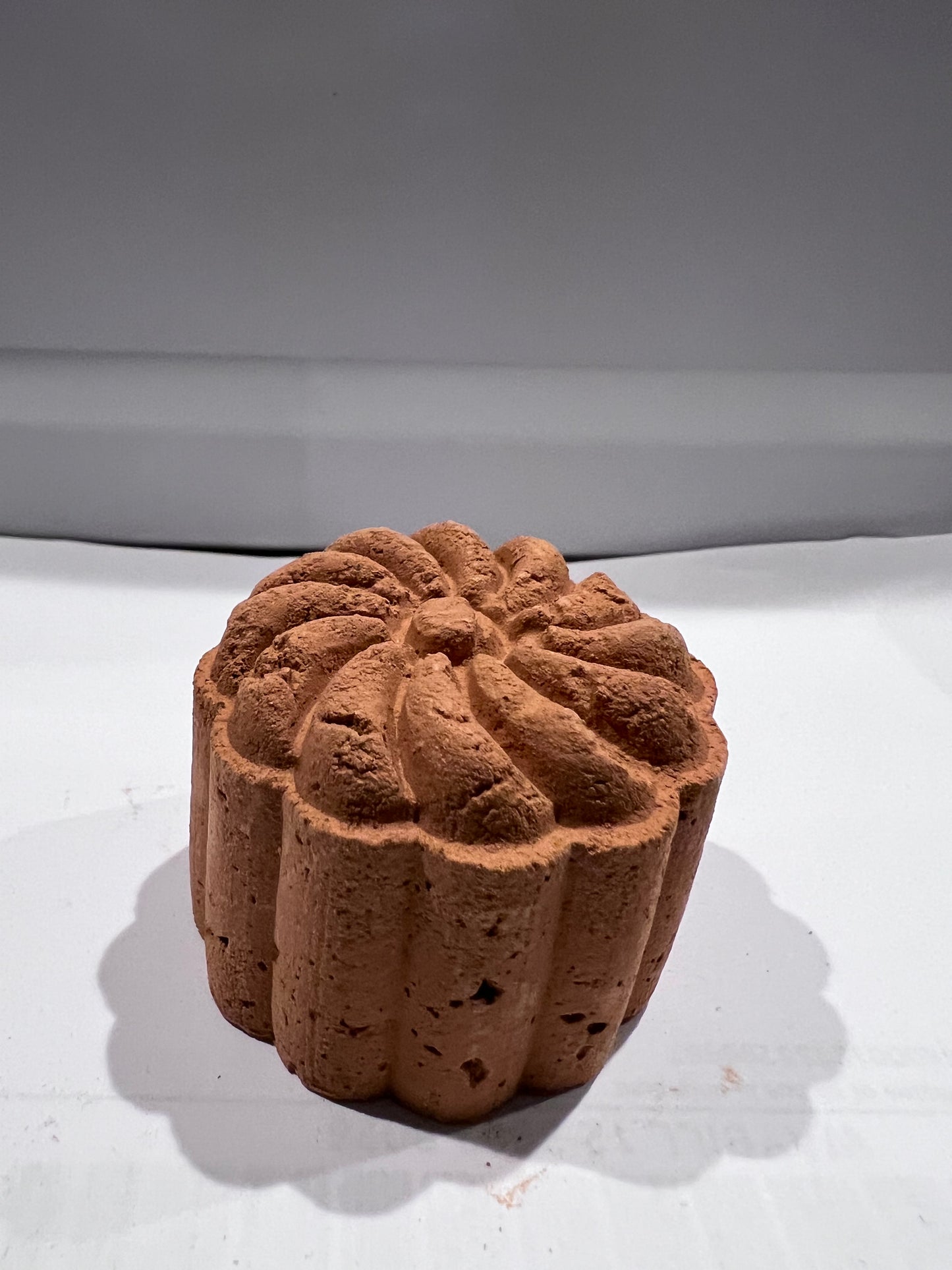 Galleta barro