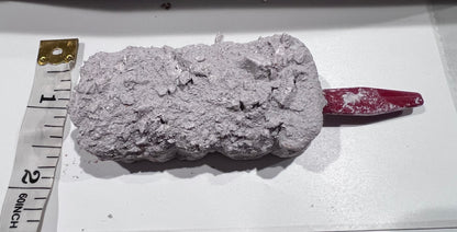 Mini paleta Mora3.5 inches long