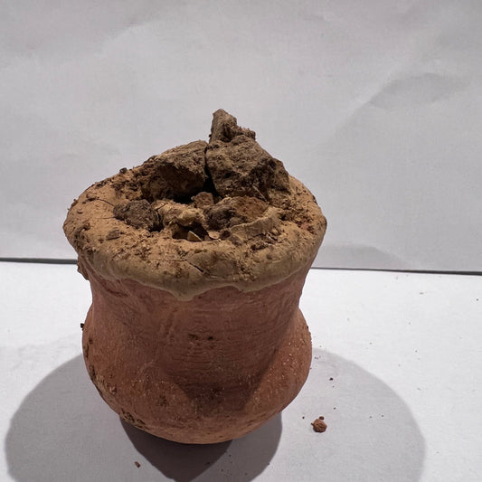 Clay Cantarito relleno corazón violeta