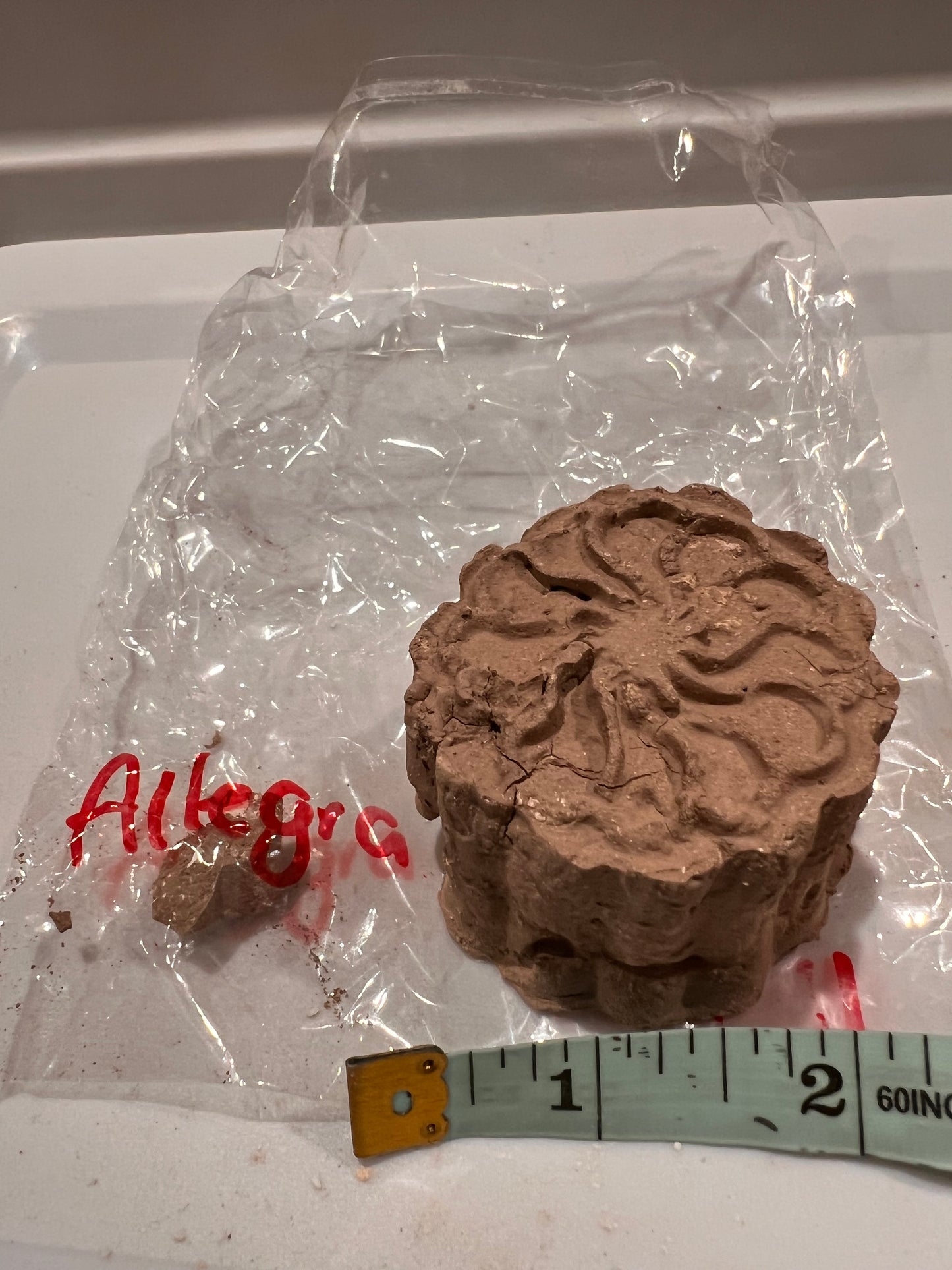 Alegra