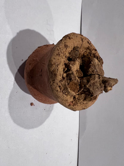 Clay Cantarito relleno corazón violeta