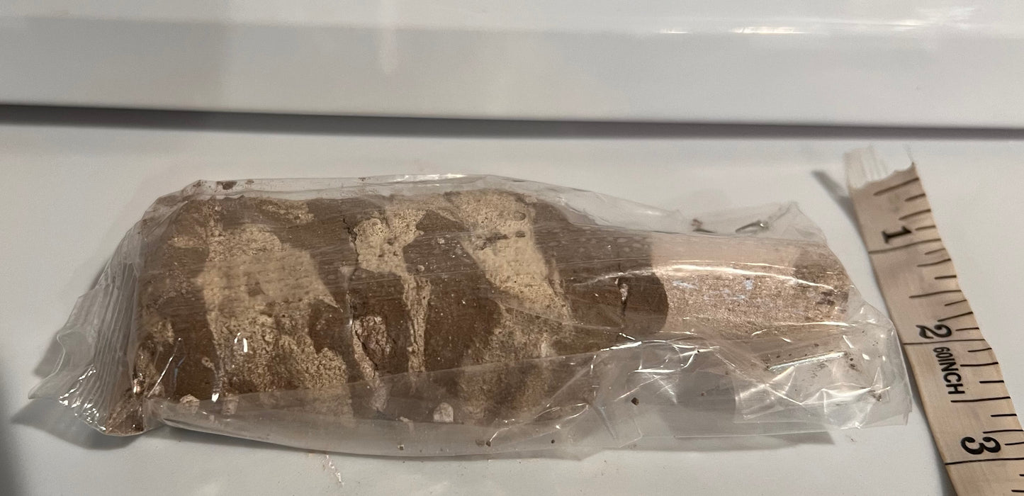 Paleta pop